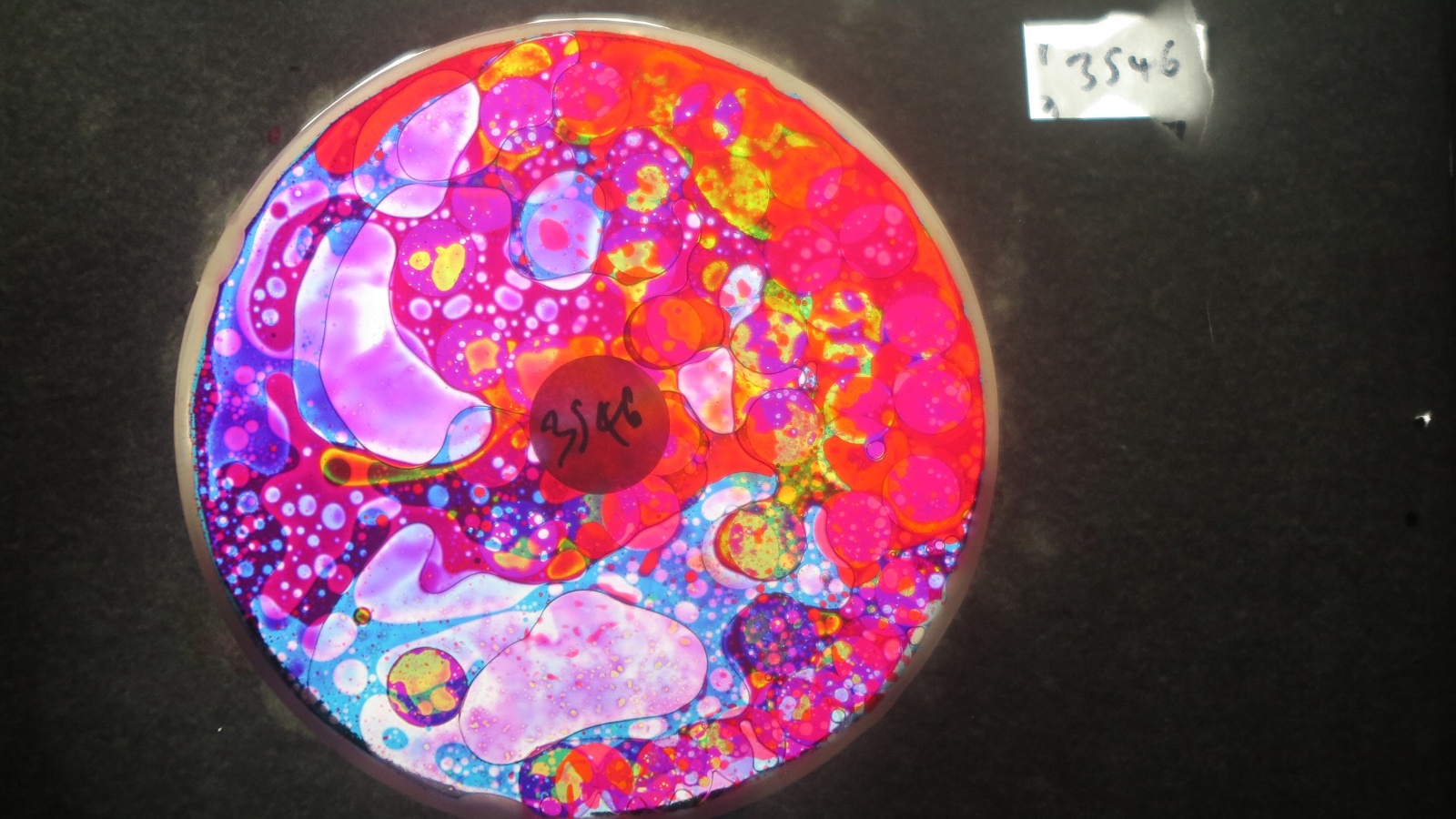 BV3546 bubble vision oil wheel